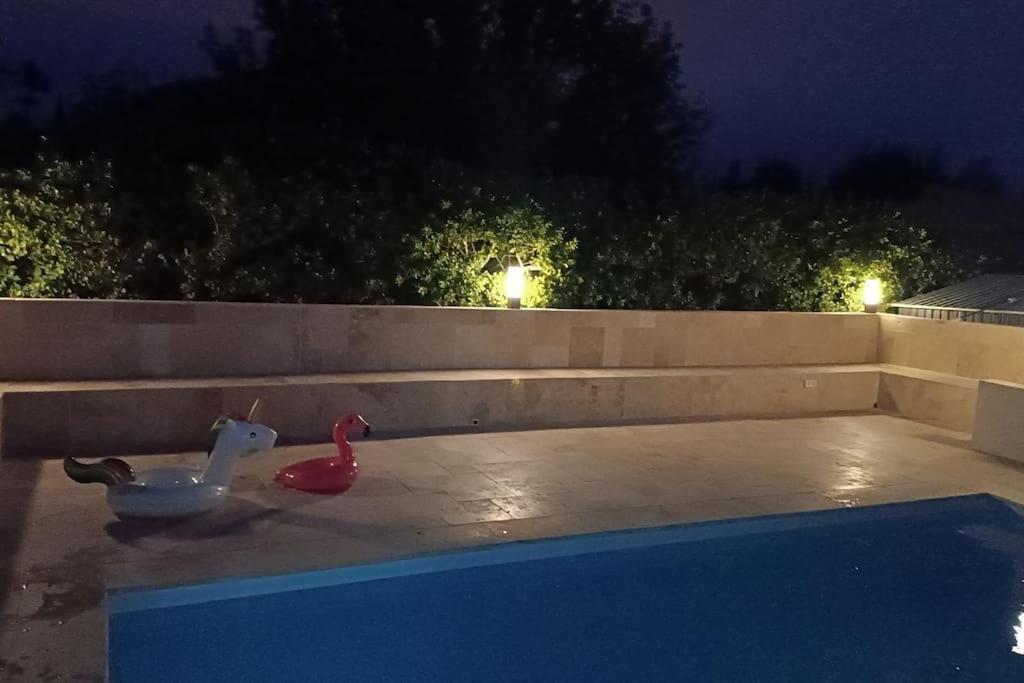 Holiday home Avec Piscine Villemoustaussou